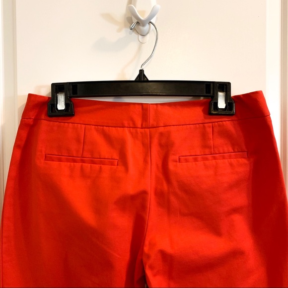 Tahari ASL Rad Simple Scuba Pants - Picture 8 of 8